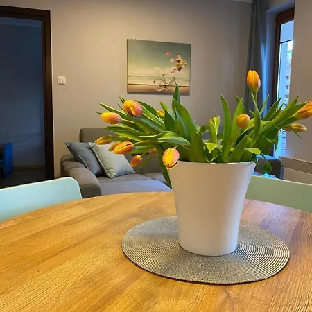 Baltic Park Apartment Stegna (Pomerania)