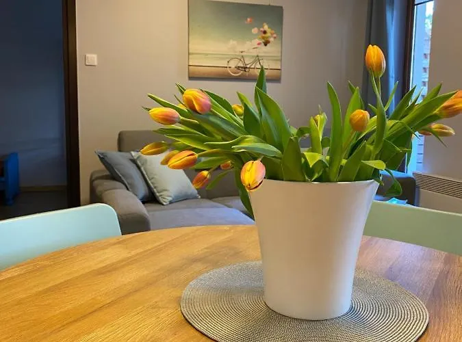 Balticpark Apartment Stegna (Pomerania)